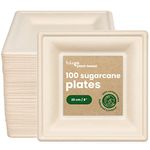 HAAGO - Heavy Duty Premium Sugarcane Paper Plates, Bagasse Eco-Friendly Compostable Biodegradable Square Plates for BBQ's, Party, Wedding, Outdoor Events (100, 20cm / 8")