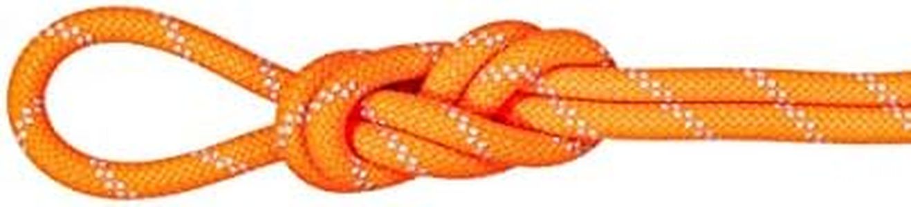 Mammut 9.5 Alpine Dry Climbing Rope, safety-orange, 40m
