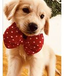 For The Fur Kids Dog Bow Tie: Cute Polka Bow Tie for Pets, Dog Accessory (Red), 1 Piece