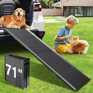 Dog Ramp f