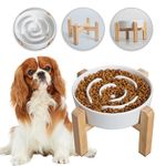 Elevated Slow Feeder Dog Bowl - Raised Ceramic Dog Bowls with Anti-Slip Stand - Fun Maze Dog Feeding Bowl for Fast Eater - Heavy Dog Food Dish - Designed for Small and Medium Dogs - White - 6.7 inch