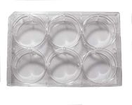 Advangene 6 Well Non-Treated Sterile Flat Tissue Culture Plate (50/Case)