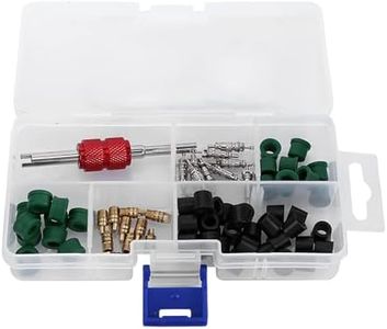Agatige 71pcs Strumento di Riparazione Kit di Riparazione Aria condizionata, Kit Nucleo valvola + 10 Pezzi Nucleo valvola + 50 Pezzi guarnizioni Tubo + 10 Pezzi valvole per condizionatore Auto