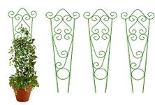 Jabox 24 Inches Super Long and Strong Trellis, Plant Support, Plant Suporters for Climbing Vines and Plants, Rust Resistance, Strong Metal, Green [68.5 X 24 CM] (Green-Pack-4, Metal-24 Inch)