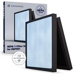 Hathaspace Certified HSP001 Smart True HEPA Air Purifier Filters (1 Set)