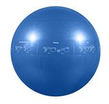 Gofit Professional Stability Ball - Blue, 55 cm