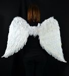 Touch of Nature 11008 Adult Angel Wing in White with Elastic Straps, 43 by 27-Inch