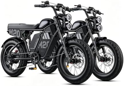 ENGWE M20
