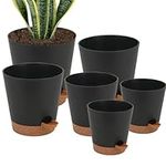 6 Pack Self Watering Pots for Indoo