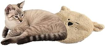 ALL FOR PAWS Heated Cat Bed Indoor,