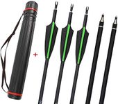 12 Pack Archery 31 Inch Hunting Carbon Arrow Spine 500 Targeting Practice Arrows with Removable Tips Arrowhead Arrow Quiver Tube for Hunting Recurve Compound Bow (Green and Quiver)