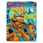 Northwest Warner Brothers Scooby-Doo, Whole Gang' Micro Raschel Throw Blanket, 46' x 60', Multi Color