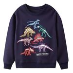 Winzik Toddler Sweatshirt, Kids Boys Crewneck Sweatshirts Dinosaur Long Sleeve Pullover Clothes 2-8 Years (18-24 Months, 41#)