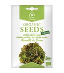 Summer Marvel Lettuce Certified Organic Seeds for Planting, by Minigarden, Contains Between 1,500 and 2,100 Seeds