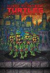 Teenage Mutant Ninja Turtles: The Ultimate Collection, Vol. 3