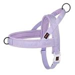 Didog No Pull Dog Harness with Brea