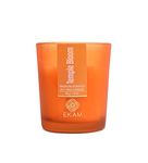 EKAM Temple Bloom Votive Soy Wax Scented Candle, 40 Grams, 10 Hours Burn Time| Long Lasting Premium Candles | Ideal for Home Décor | Gifting & Aromatherapy