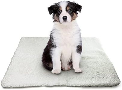 DIVCHI Pet