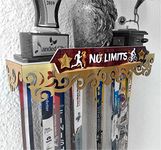 No Limits Shelf Upto 50+Medals & 4-5 Trophy's Capacity Metal Hanger Shelves - Medal SPACE®