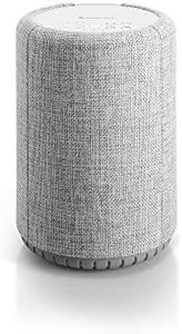 Audio Pro A10 MKII Wireless Multiroom Speaker | Wall Mountable, High Fidelity, Bluetooth Speaker w/WiFi & 3.5 mm Audio Cable Input | AirPlay2, Spotify Compatible | Light Grey