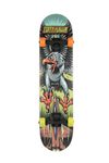 DC Skateboards