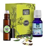 Speaking Tree - Eucalyptus Essential Oil (30ml) with Roller - 100% Pure, Natural and Undiluted