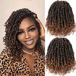 Passion Twist Hair 10 inch 8 packs Pretwisted Passion Twist Crochet Hair Pre-Looped Crochet Hair YDDM Ombre Copper Braids Crochet Short Passion Twist Hair Pretwisted Hair Extension (10 Inch, T1B/30)