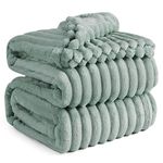 Bedsure Super Soft Sage Green Blanket Queen Size for Bed - Fuzzy Bed Blankets Fluffy Cozy Blankets for Women, Bed Blanket for Winter, 90x90 Inches