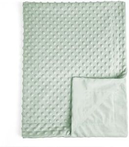 david's kids Minky Baby Blanket for Boys Girls Neutral, Soft Lightweight Micro Fleece Blanket with Double Layer, Dotted Backing, Receiving Blanket for Newborns, 30x40 Inches, Sage Green