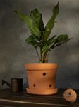 Village Decor Handmade Terracotta Orchid Pot with Bottom Tray|Pack of 1|Height - 5 Inch