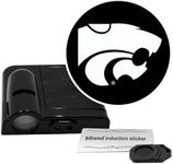 Sporticulture American Football K-S