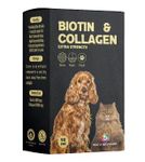 Skin And Hair Supplement For Dogs