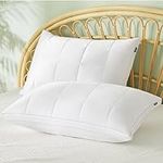Bedsure Queen Size Pillow - Rayon D
