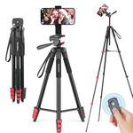 65” Phone Tripod, Tripod for iPhone, Cellphone Tripod with Remote Shutter & Phone Holder for Live Streaming & Video Recording, Compatible with iOS/Android/Camera (Included Carry Bag)