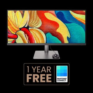 BenQ 34" Ultrawide Monitor – PD3420Q, QHD IPS Display