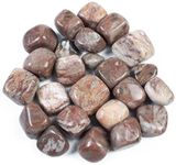 Crocon 1LB Rosetta jasper Tumbled Stones and Crystals bulk 2000+ Carats Natural Crystal Kit for Reiki Healing Crystal Polished, Tumble Stones, Chakra Balancing, Reiki Gift, Home Decor Size : 20mm