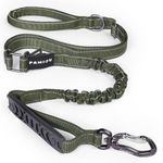 Pamiou Heavy Duty Dog Leash with Strong Lead for Medium to Large Dogs, Shock Absorbing with Bungee Design, Two Padded Handle & Car Seat Belt Buckle, Light Reflective Rope Dog Leads (Dark Green)