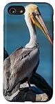 iPhone SE (2020) / 7 / 8 Pelican Ca