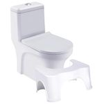 Potty Stool