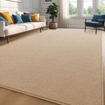 Zedrew Beige Area Rugs Shag Carpets for Bedroom Living Room, 6x9 Feet Extra Large Thickened Memory-Foam Rug, Modern Washable Rug for Kids Boys Girls Dorm Room, Indoor Floor Rug for Decor