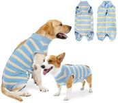 NACOCO Dog Surgery Recovery Suit- Wound Protective Clothes for Female Male Dogs Pet Onesie After Surgery Spay Neuter E-Collar Alternative for Cats Small Medium Dogs (Sky Blue, X-Large)