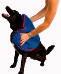 Soggy Doggy Super Shammy Dog Towel,