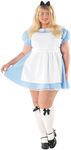 Fun Shack Alice Costume Adult Women