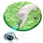 LUPAPA Interactive Cat Toys, Indoor