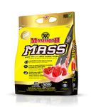 MAMMOTH MASS: Weight Gainer, High Calorie Protein Powder Workout Smoothie Shake, Meal Replacement, Low Sugar, Whey Isolate Concentrate, Casein Protein Blend, Weight Training, High Protein (5lb), Strawberry