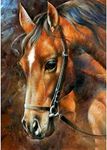 MXJ DIY 5D Diamond Painting by Number Kits Full Round Drill Rhinestone Embroidery Cross Stitch Picture Art Craft for Home Wall Decor Brown Horse 12x16In