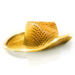 Windy City Novelties LED Light Up Sequin Cowboy Hat - Unisex (Gold)