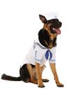 Sailor Costume for Dogs L