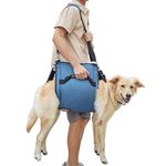 COODEO Dog Carry Sling, Emergency Backpack Pet Legs Support & Rehabilitation Dog Lift Harness for Nail Trimming, Dog Carrier for Senior Dogs Joint Injuries, Arthritis, Up and Down Stairs (XL, Blue)