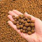 BHomeScent Clay Pebbles for hydroponics (1L)